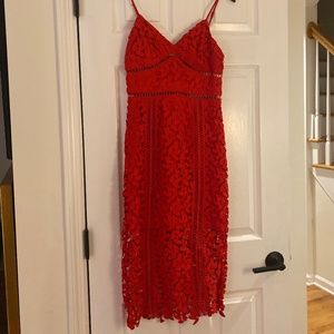 Bardot Lace Dress